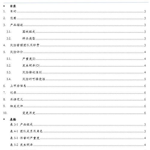 Risk Management Plan Template (Chinese)